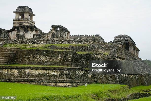 Руины Palenque В Штате Чьяпас — стоковые фотографии и другие картинки UNESCO - Organised Group - UNESCO - Organised Group, Аборигенная культура, Археология