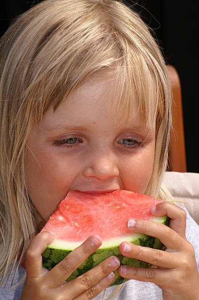 Five year old girl eating a watermelon stock photo