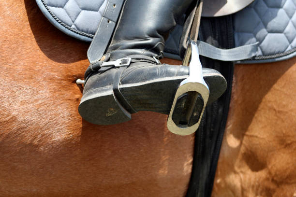 istock Spurs pressing on Horse-Body: Close-Up 144288125