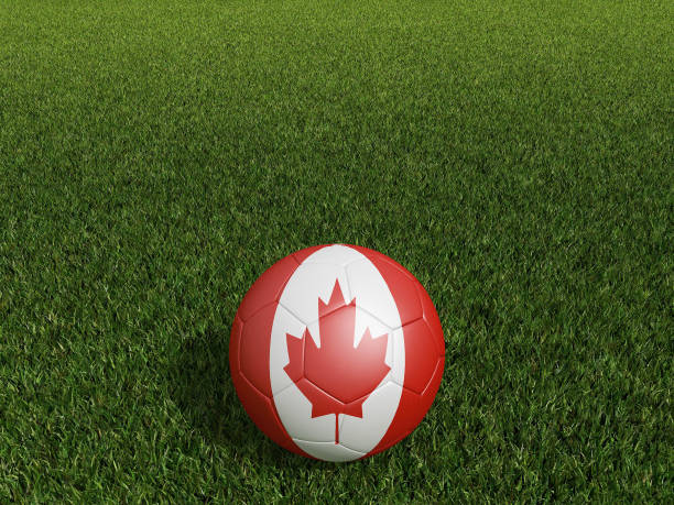istock Football in Canada flag  on  green grass. 3d rendering 1442883324