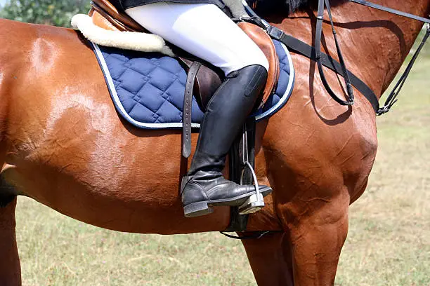 A detailed shot of a horse and the rider in the side-view. It's reduced, so you only see the saddle, the jodhpurs, the body of the horse and the riding boots of the rider.