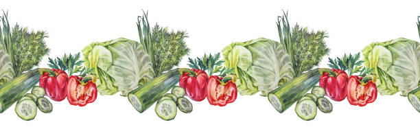istock Seamless rim watercolor green and red vegetable on white background. Dill, leek cucumber cabbage and bell pepper. Hand-drawn greenery for cooking vegetarian salad. Vegan food. Border for cookbook 1442886280