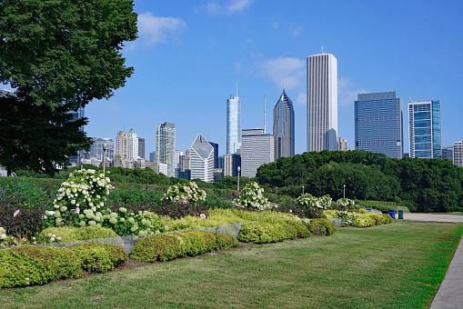 Chicago downtown skyline viewed from Grant Park