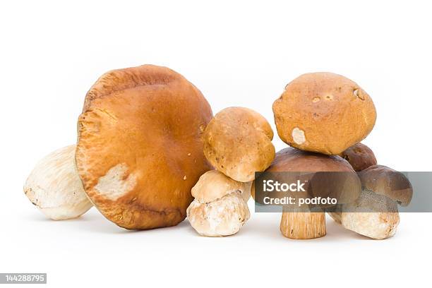 Cep 0명에 대한 스톡 사진 및 기타 이미지 - 0명, Boletus, 갈색