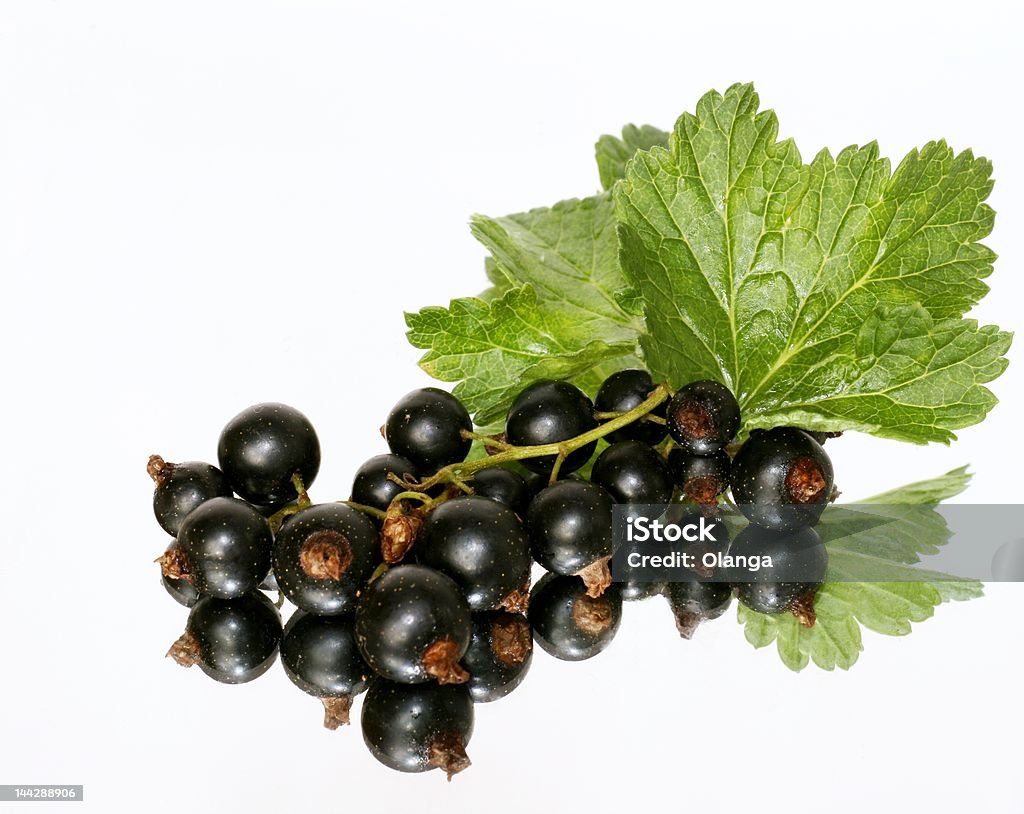 Black currant Berry Stock Photo