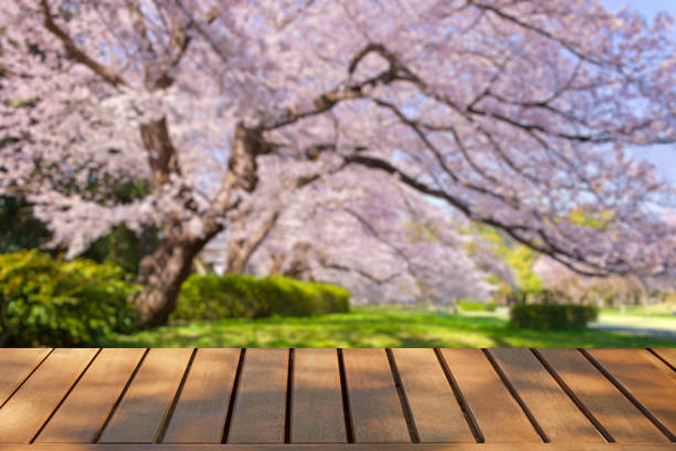 istock wooden table with cherry blossom blur bokeh background 1442890907