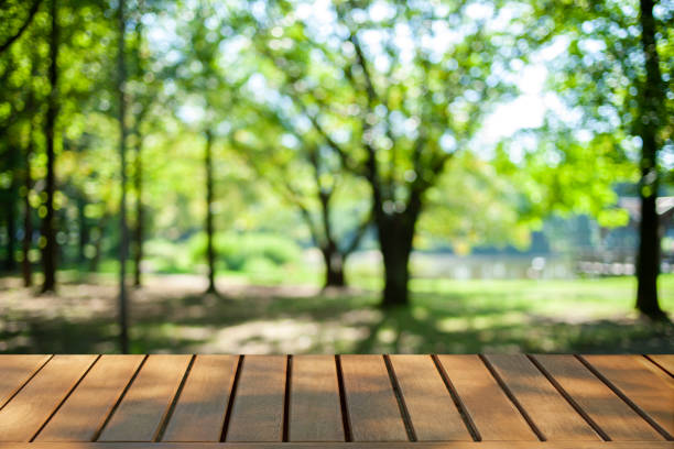 istock green nature blur bokeh background 1442890927
