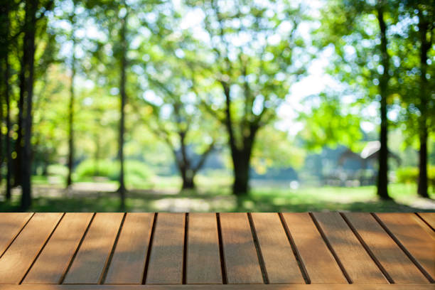istock green nature blur bokeh background 1442890929