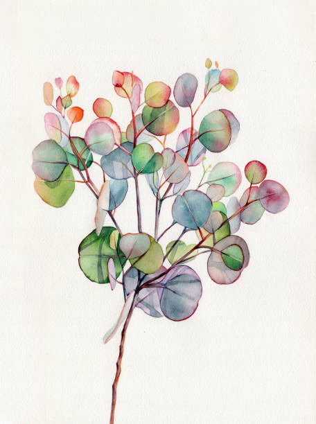 Watercolor Greenery - Eucalyptus  - Watercolor Eucalyptus - Green Foliage