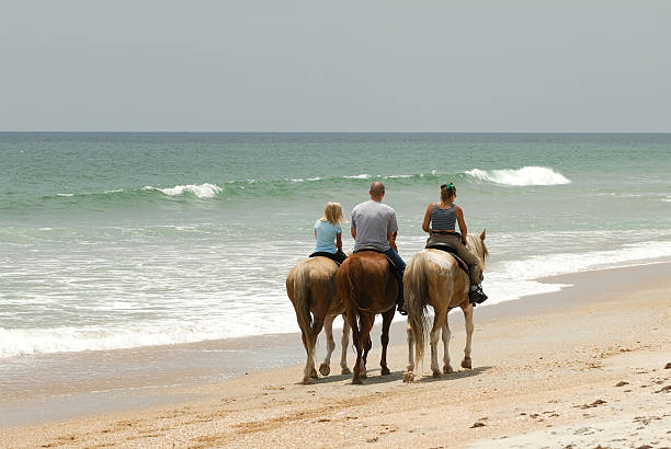 istock Horseback riding at the ocean 144289803
