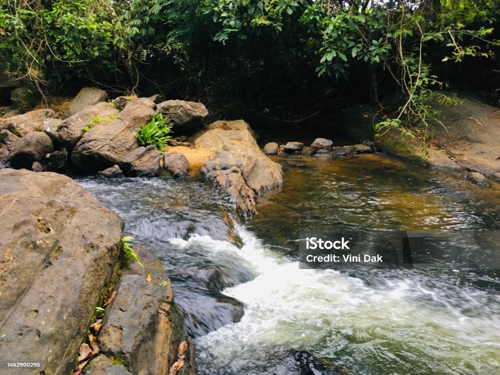 Srilanka Nature of srilanka Asia Stock Photo