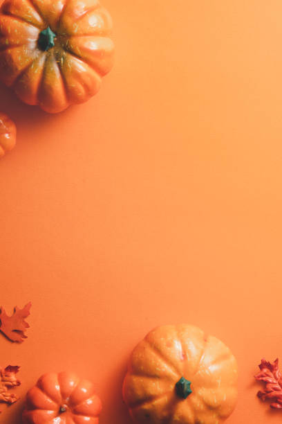 istock Creative Halloween design concept background with pumpkin, autumn leaves and copy space. 1442900437