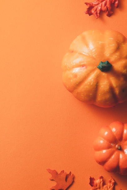 istock Creative Halloween design concept background with pumpkin, autumn leaves and copy space. 1442900610