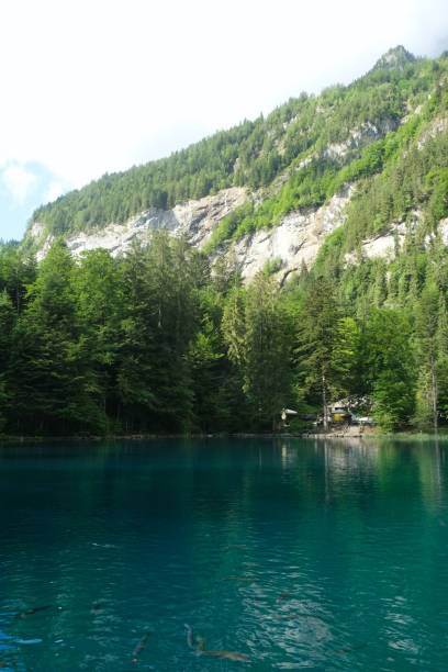 istock Blue Blausee Lake of Switzerland 1442902911