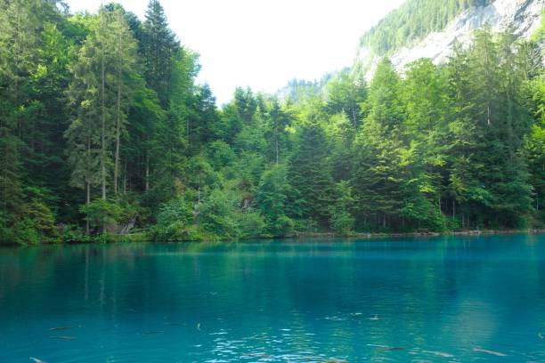 istock Blue Blausee Lake of Switzerland 1442902927