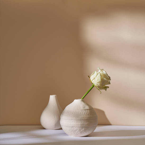 istock White rose in a ceramic vase against a beige wall 1442903821
