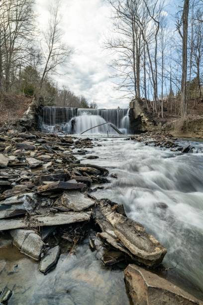 istock Vertical shot of a waterfall and stream in a forest 1442904221