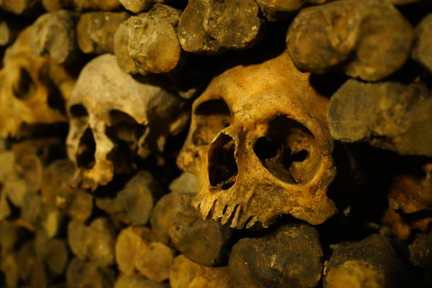istock Scary spooky human skulls and bones stacked in the underground ossuary 1442904393