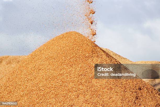 Foto de Chips De Madeira e mais fotos de stock de Amontoamento - Amontoamento, Aparas de Madeira, Arqueologia