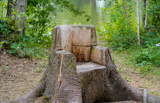A chair made of a tree trunk in the forest near the lake