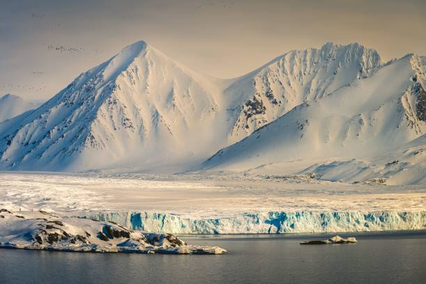 hohe schneebedeckte gipfel mit einem gletscher und einem schönen klaren himmel mit vögeln, die in der nähe von svalbard vorbeifliegen - insel spitzbergen stock-fotos und bilder