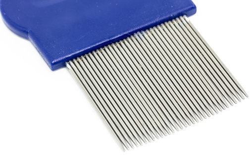 A closeup of a blue flea comb isolated on white background.