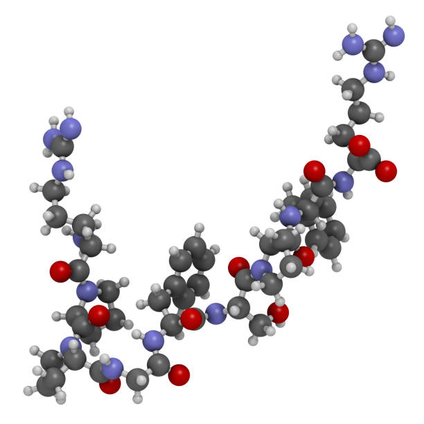 ブラジキニンペプチド分子。3dレンダリング。 - angioedema ストックフォトと画像