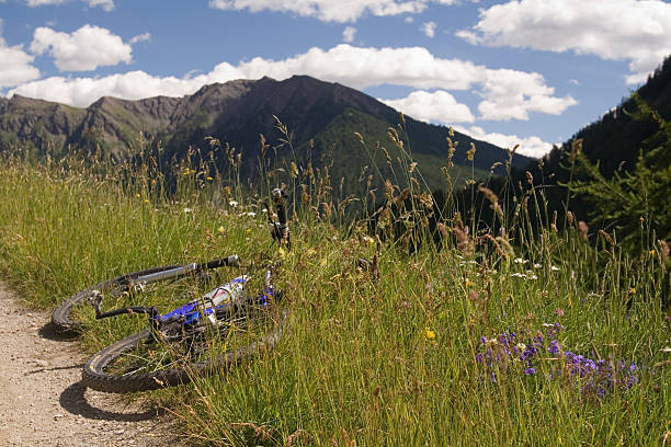 istock Mountain bike stop. 144290726