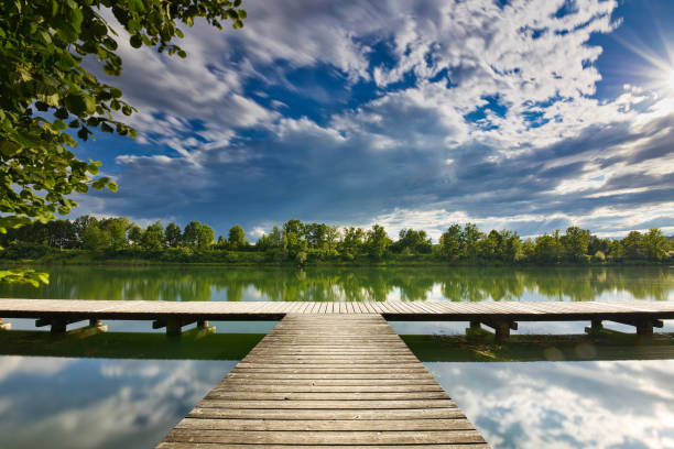 istock Long dock going out into the lake on a summer day 1442907531