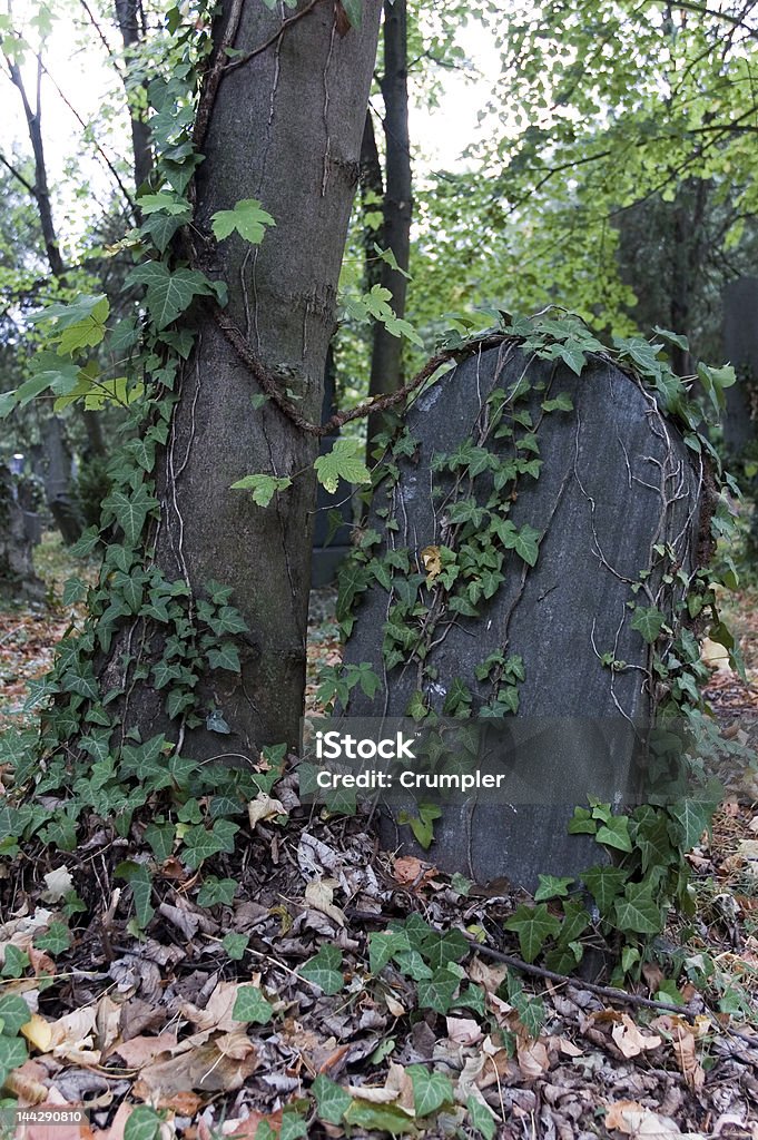 Crescido em Excesso Tombstone - Foto de stock de Abandonado royalty-free