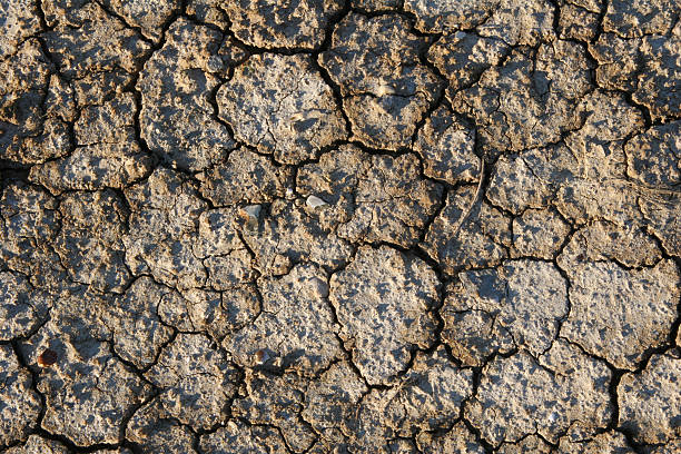 Dried cracked earth stock photo