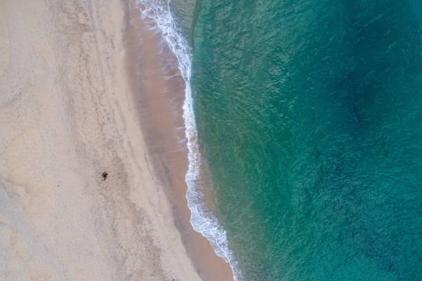 istock Aerial Top Drone View on Ocean Waves and White Sand Beach. 1442908615