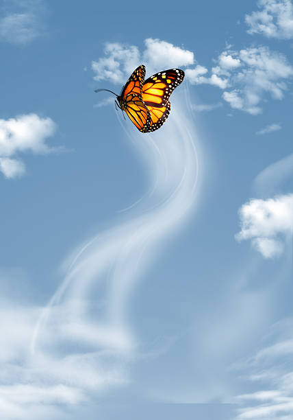 istock Blue butterfly flying in the sky 144290868