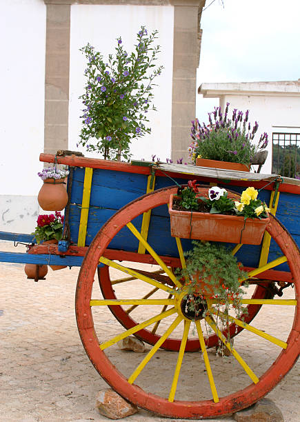 Flower decorated hand cart stock photo