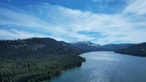 istock Aerial view of forests and a coastline 1442909446