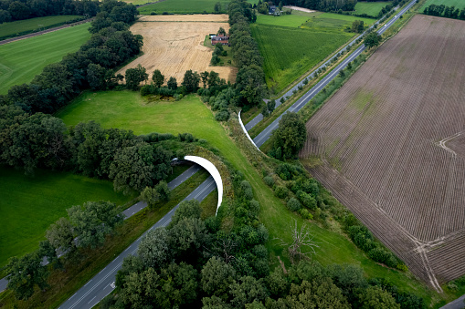 Motorway passing underneath wildlife crossing forming a safe natural corridor bridge for animals to migrate between conservancy areas.