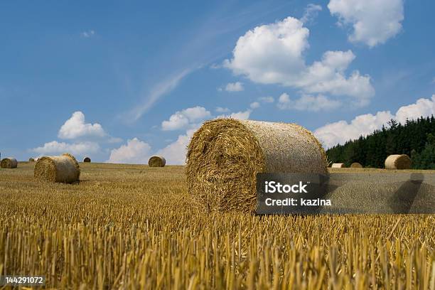 Filed With Hay Bale Stock Photo - Download Image Now - Agricultural Field, Agriculture, Autumn