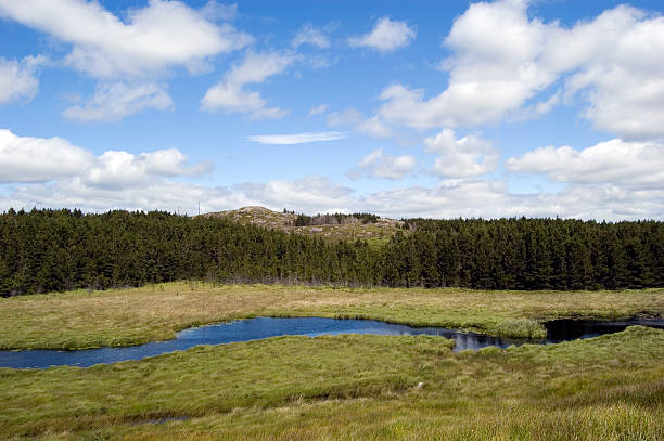 istock River in Connemara. Ireland 144291091