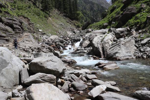istock River inside the dense forest in himalaya 1442911853