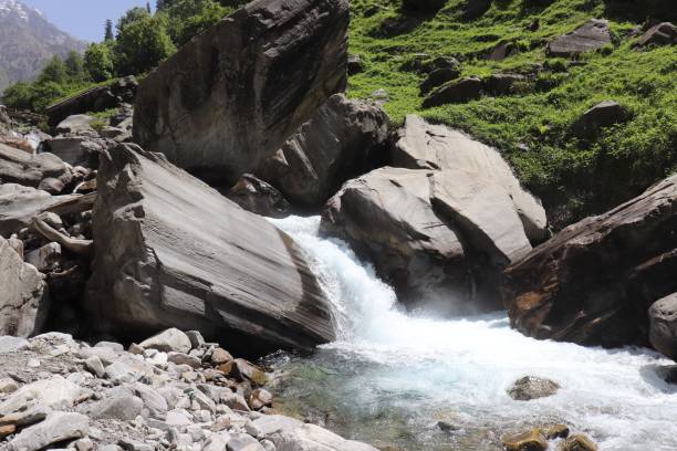 istock River inside the dense forest in himalaya 1442911856