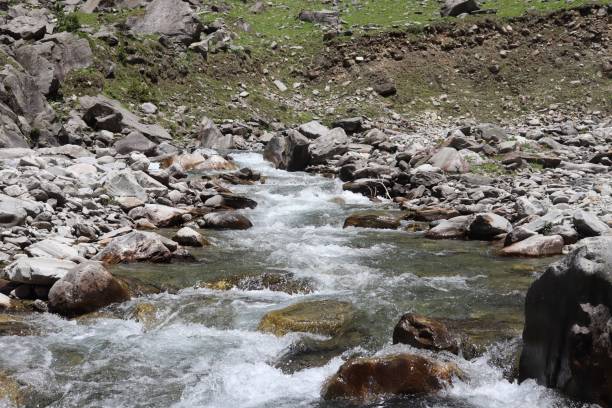 istock River inside the dense forest in himalaya 1442911860
