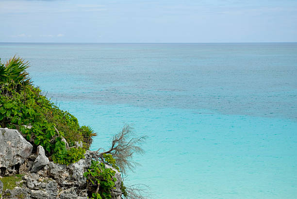 Tulum mexico caribbean water near a rock with vegetation