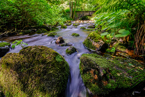 River Warme Bode in Braunlage, Germany