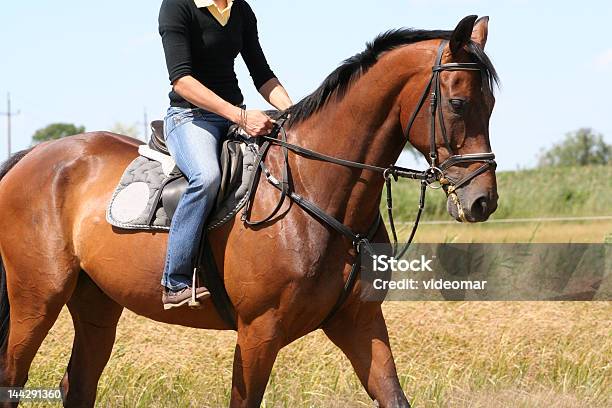Relaxed Horseback Riding Sideview Stock Photo - Download Image Now - Animal Body Part, Animal Harness, Animal Head