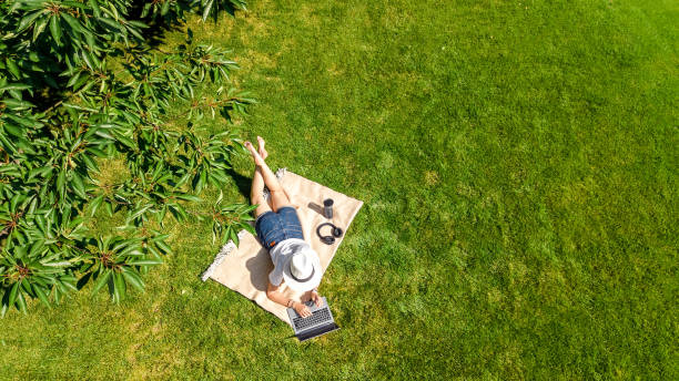 istock Young woman using laptop computer in park, student girl freelancer working and studying online outdoors sitting on grass with headphones and laptop, aerial drone view from above 1442915260