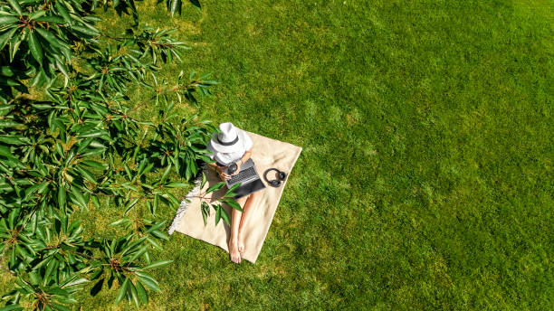 istock Young woman using laptop computer in park, student girl freelancer working and studying online outdoors sitting on grass with headphones and laptop, aerial drone view from above 1442915271