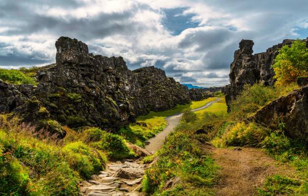 istock Lava formation on Thingvellir National Park 1442915378