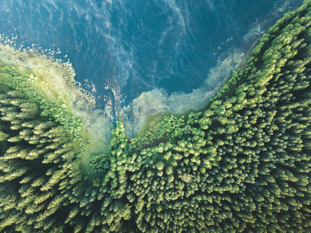 istock A blue lake at sunrise from above. 1442915609