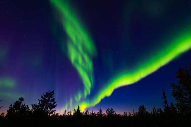 istock Green neon Aurora Borealis in the sky 1442915773