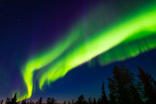 istock Green neon Aurora Borealis in the sky 1442915776